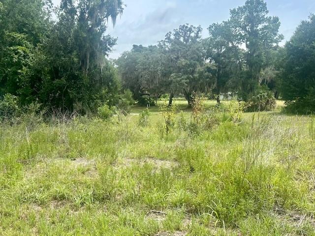 Details for 161 Live Oak Circle, CRESCENT CITY, FL 32112