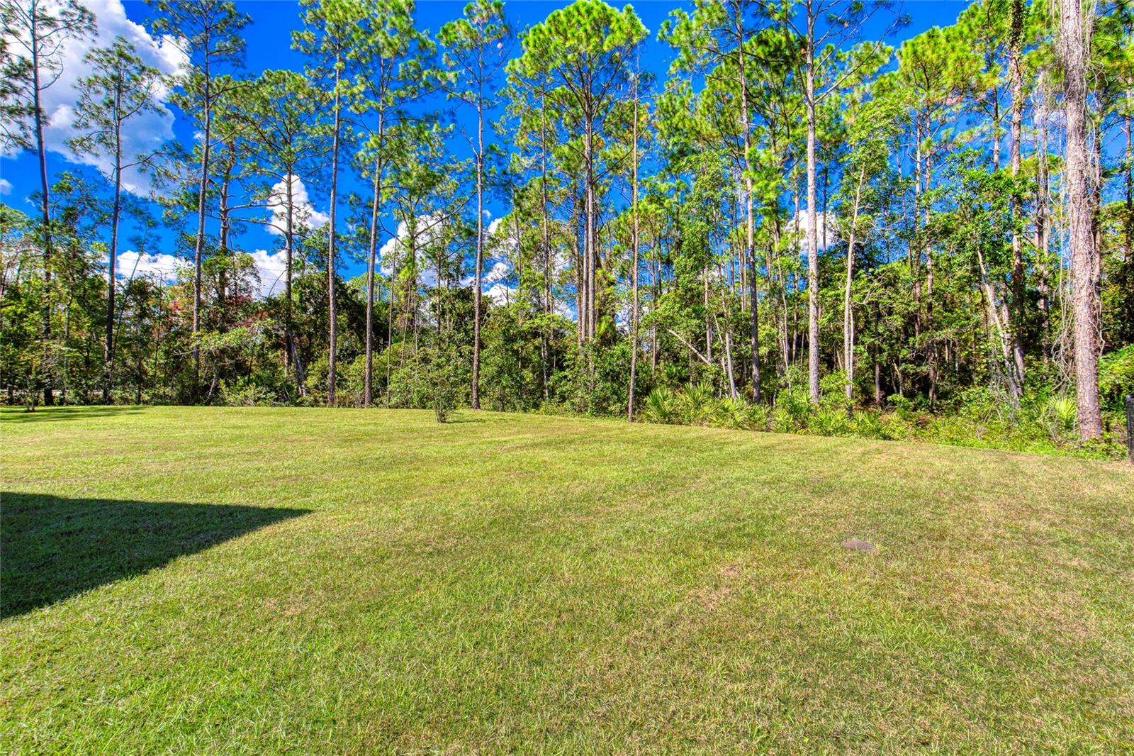 Image 39 of 44 For 36 Kaywood Place