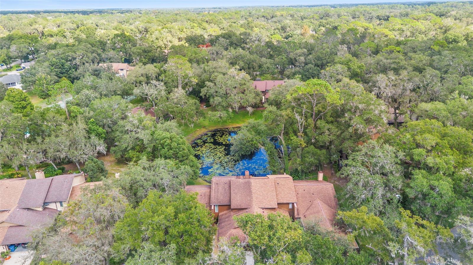 Image 8 of 46 For 920 Shady Branch Trail