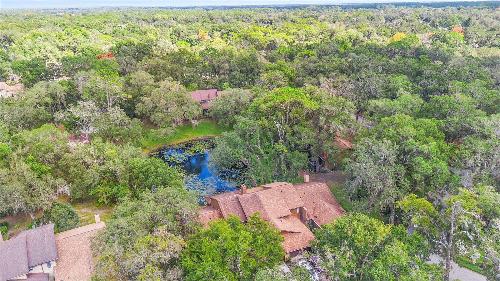 Image 9 of 46 For 920 Shady Branch Trail