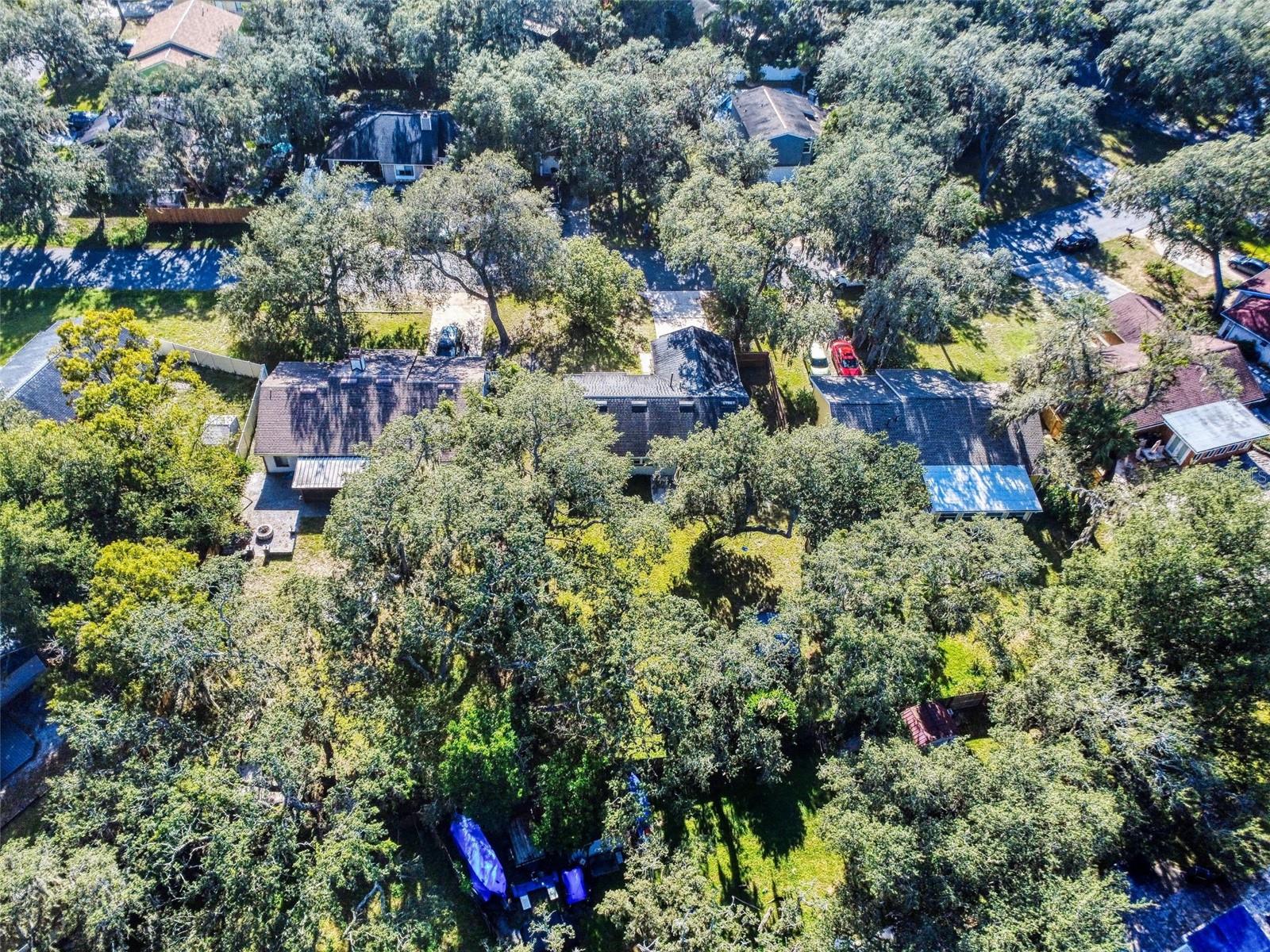 Image 18 of 23 For 104 Winding Ridge Drive