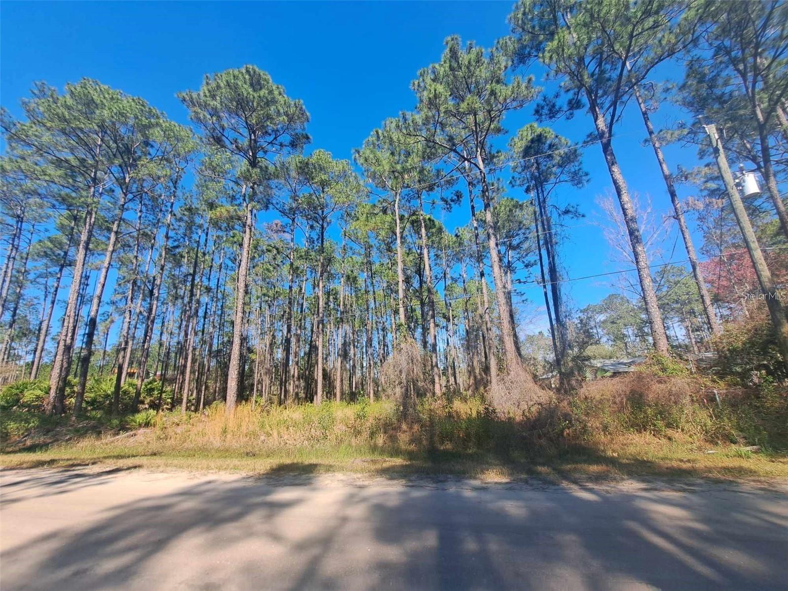 Details for 5146 Lime Avenue, BUNNELL, FL 32110