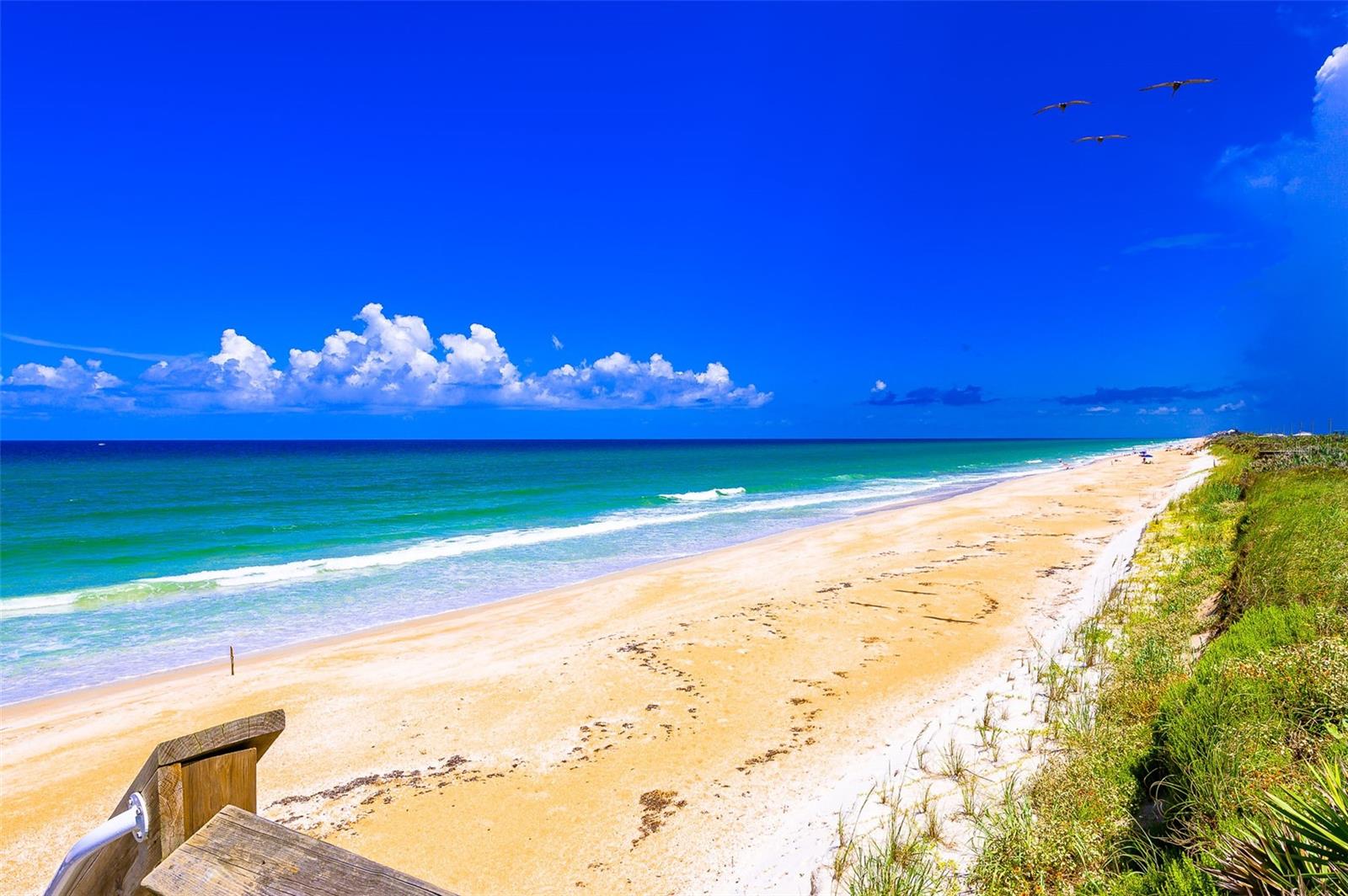 Image 8 of 14 For 3721 Ocean Shore Boulevard