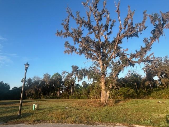 Image 3 of 11 For 192 Rosa Bella View