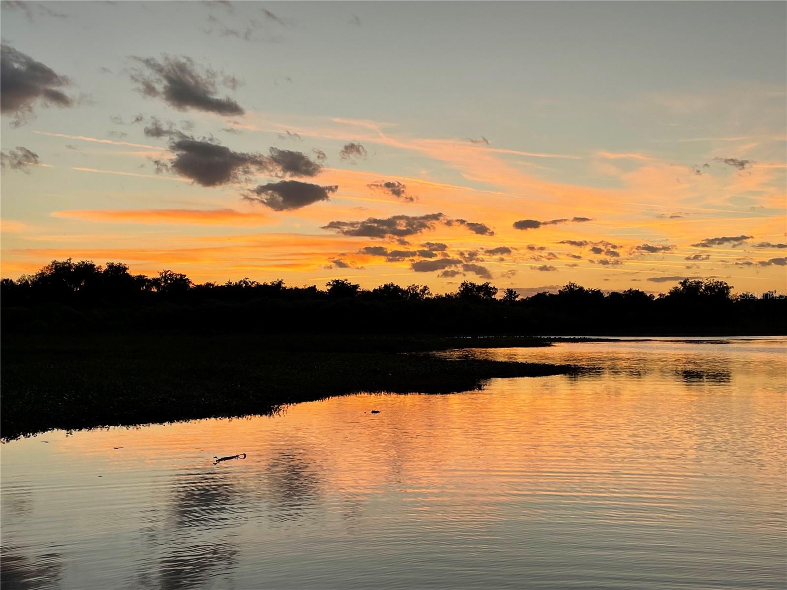 Image 4 of 11 For 192 Rosa Bella View