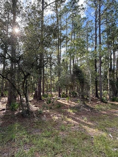 Image 3 of 3 For 207 Ocala Court