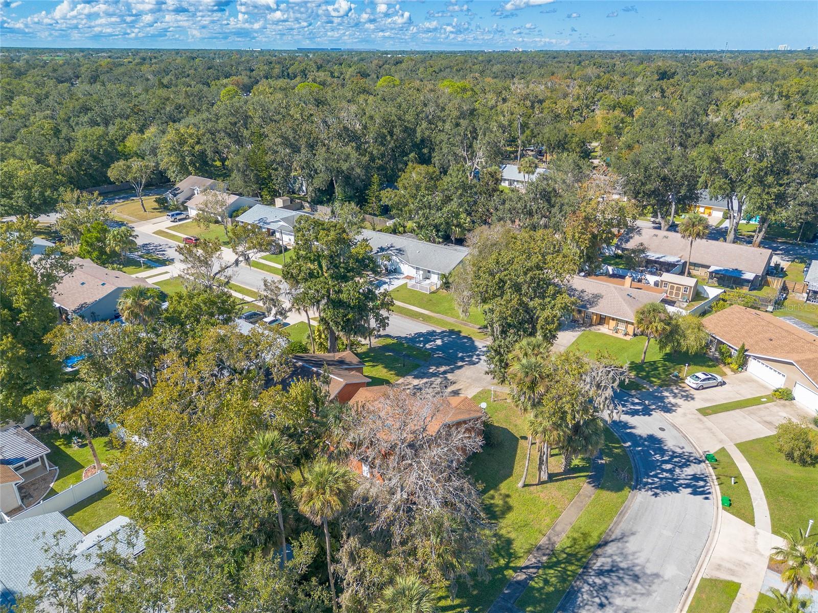 Image 39 of 47 For 1126 Squirrel Nest Lane