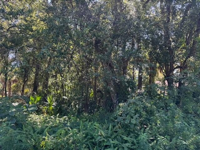 Details for Beau Court , ORANGE CITY, FL 32763