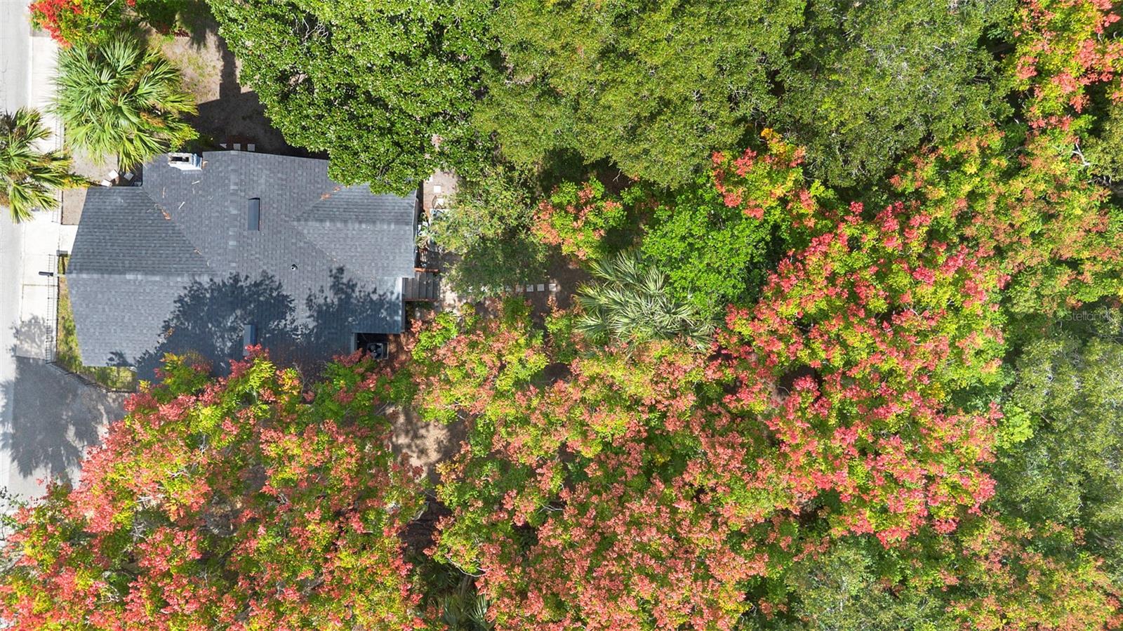 Image 33 of 41 For 135 Arlington Avenue