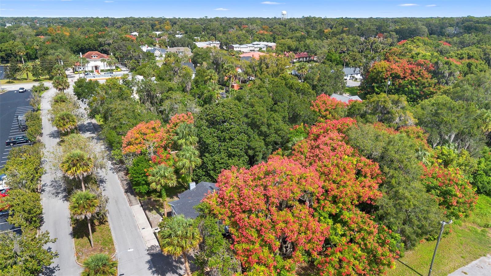 Image 35 of 41 For 135 Arlington Avenue