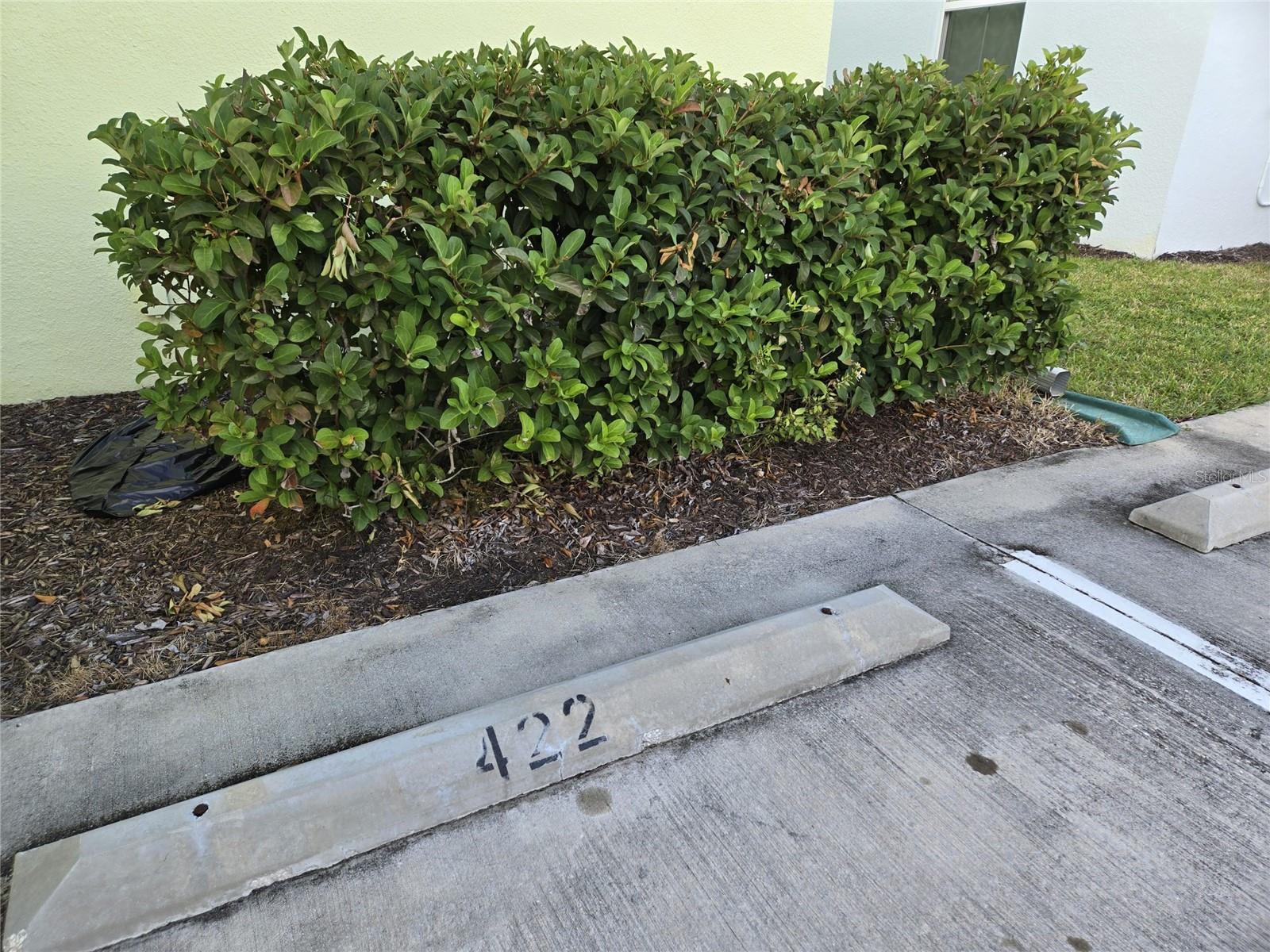 Image 23 of 45 For 422 Lime Avenue