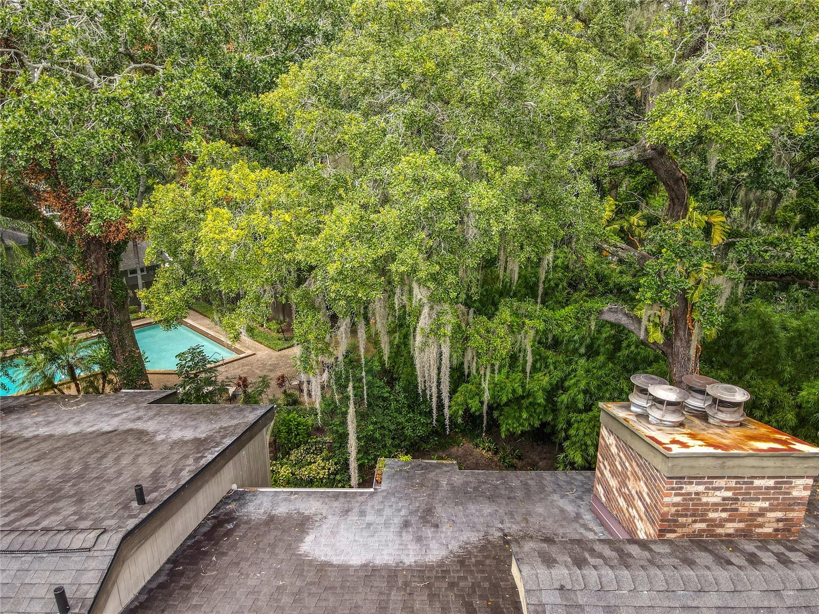 Image 69 of 73 For 542 Osceola Avenue 34