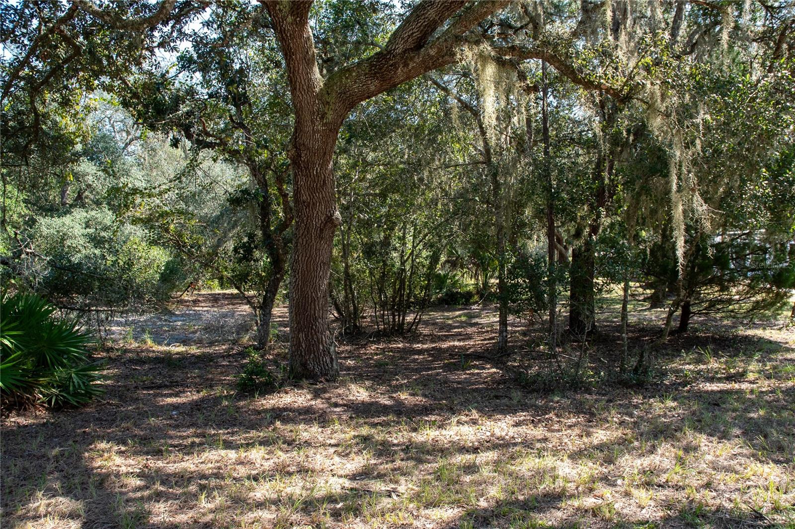 Image 19 of 53 For 47110 Central Avenue