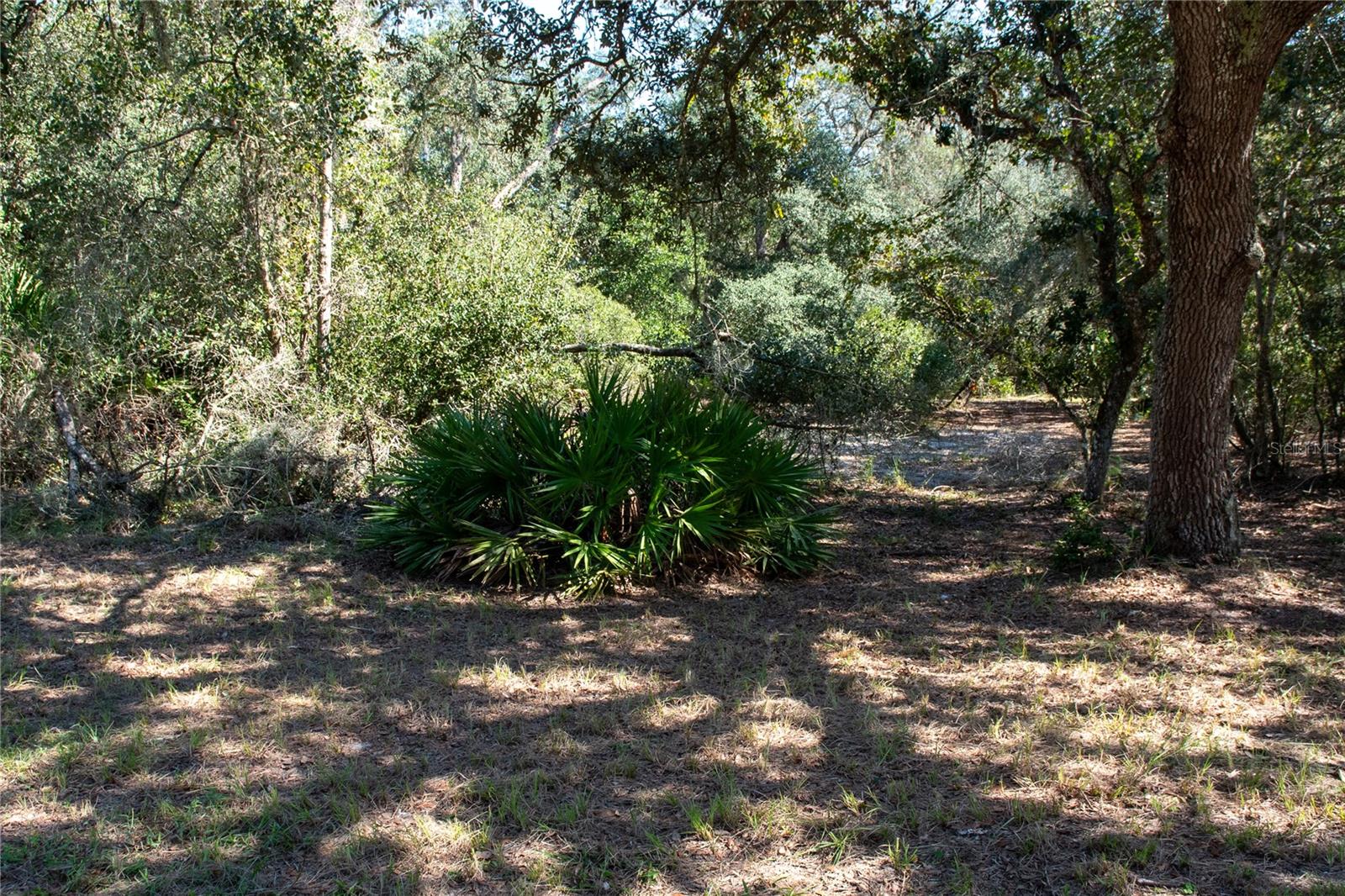 Image 20 of 53 For 47110 Central Avenue