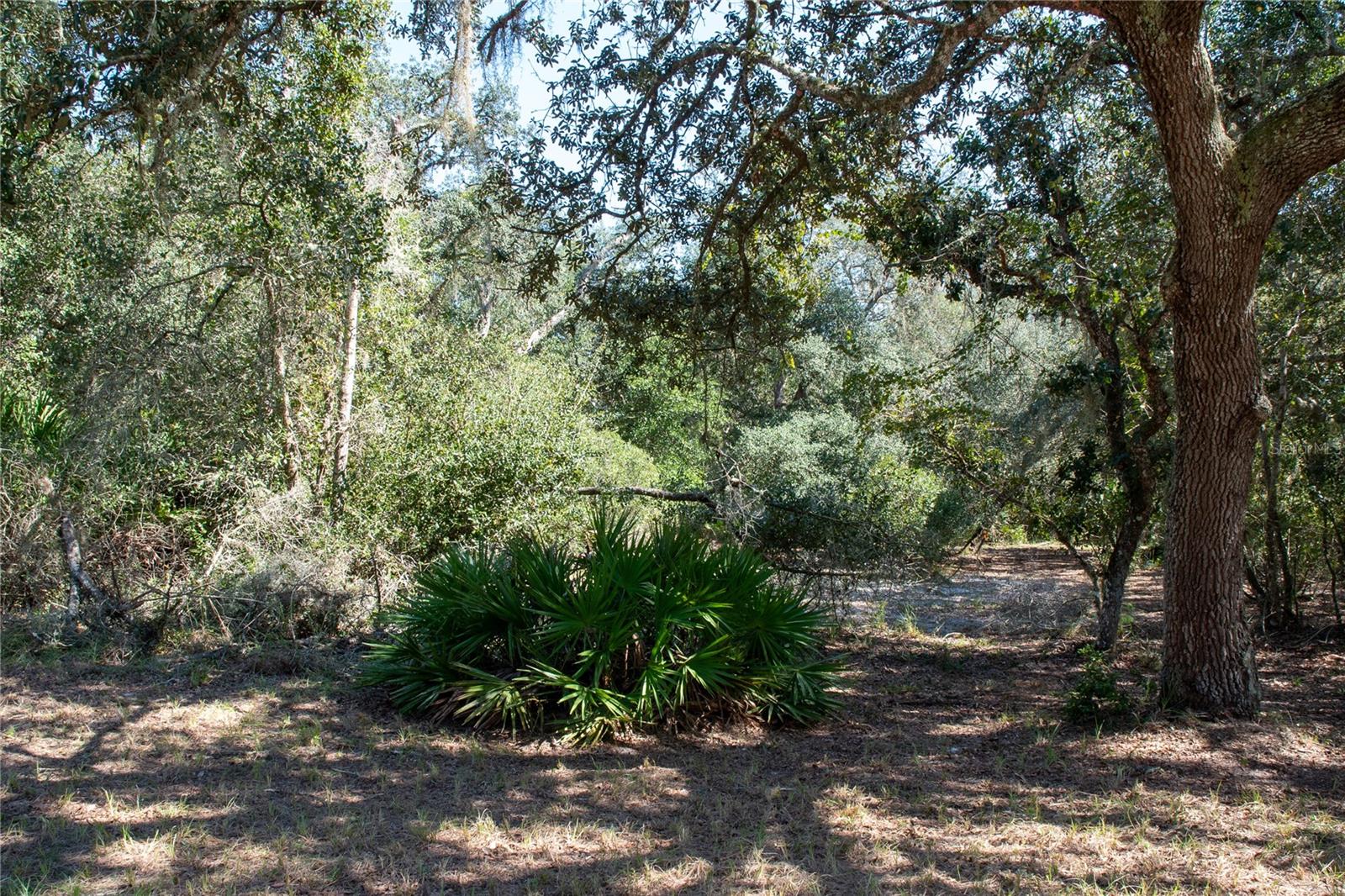 Image 21 of 53 For 47110 Central Avenue