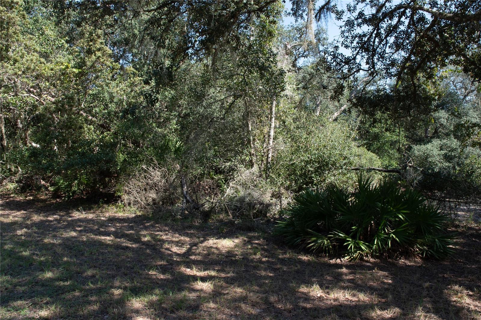 Image 22 of 53 For 47110 Central Avenue