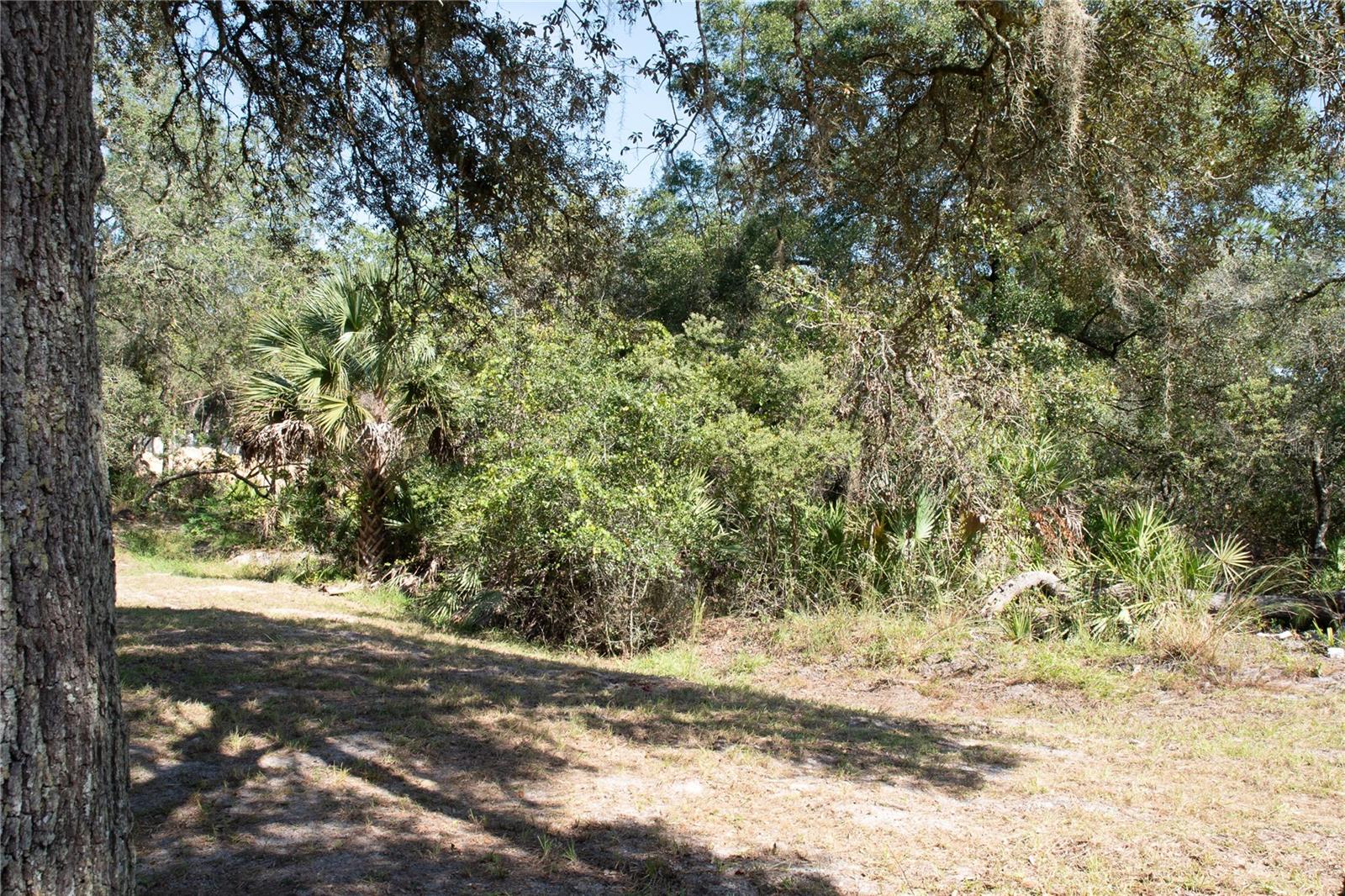 Image 23 of 53 For 47110 Central Avenue