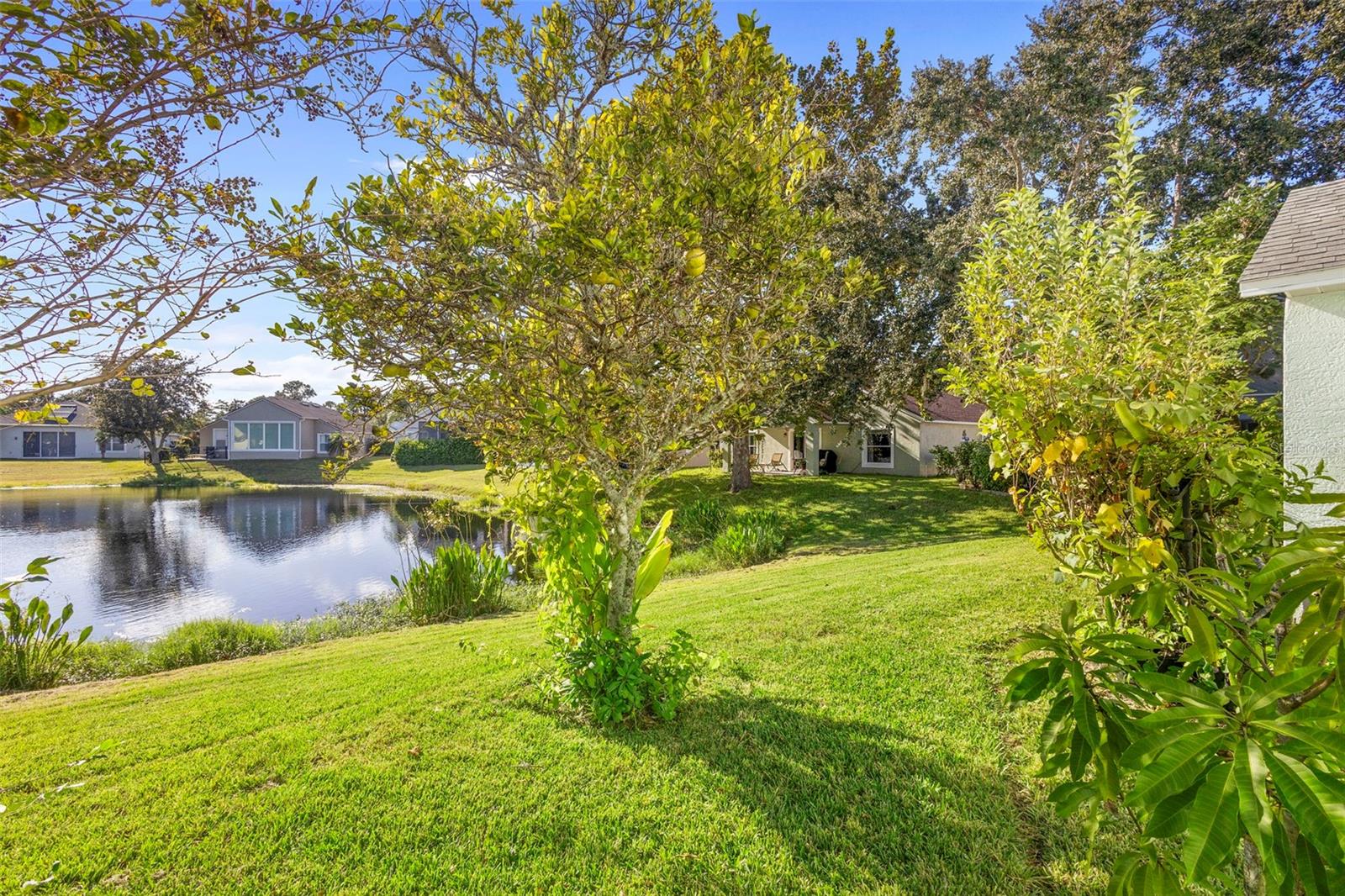 Image 4 of 35 For 114 Carnival Drive