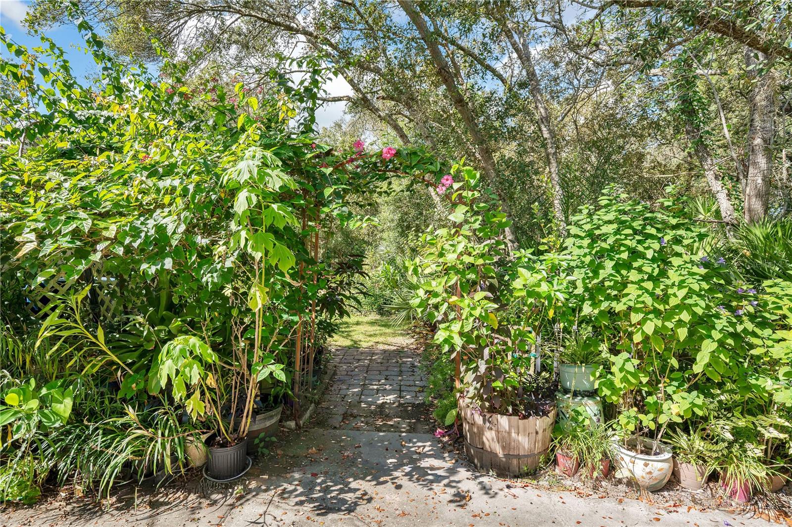 Image 4 of 35 For 3070 Sixma  