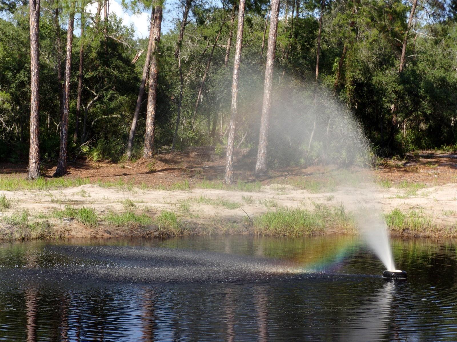 Image 23 of 60 For Deep Woods Road