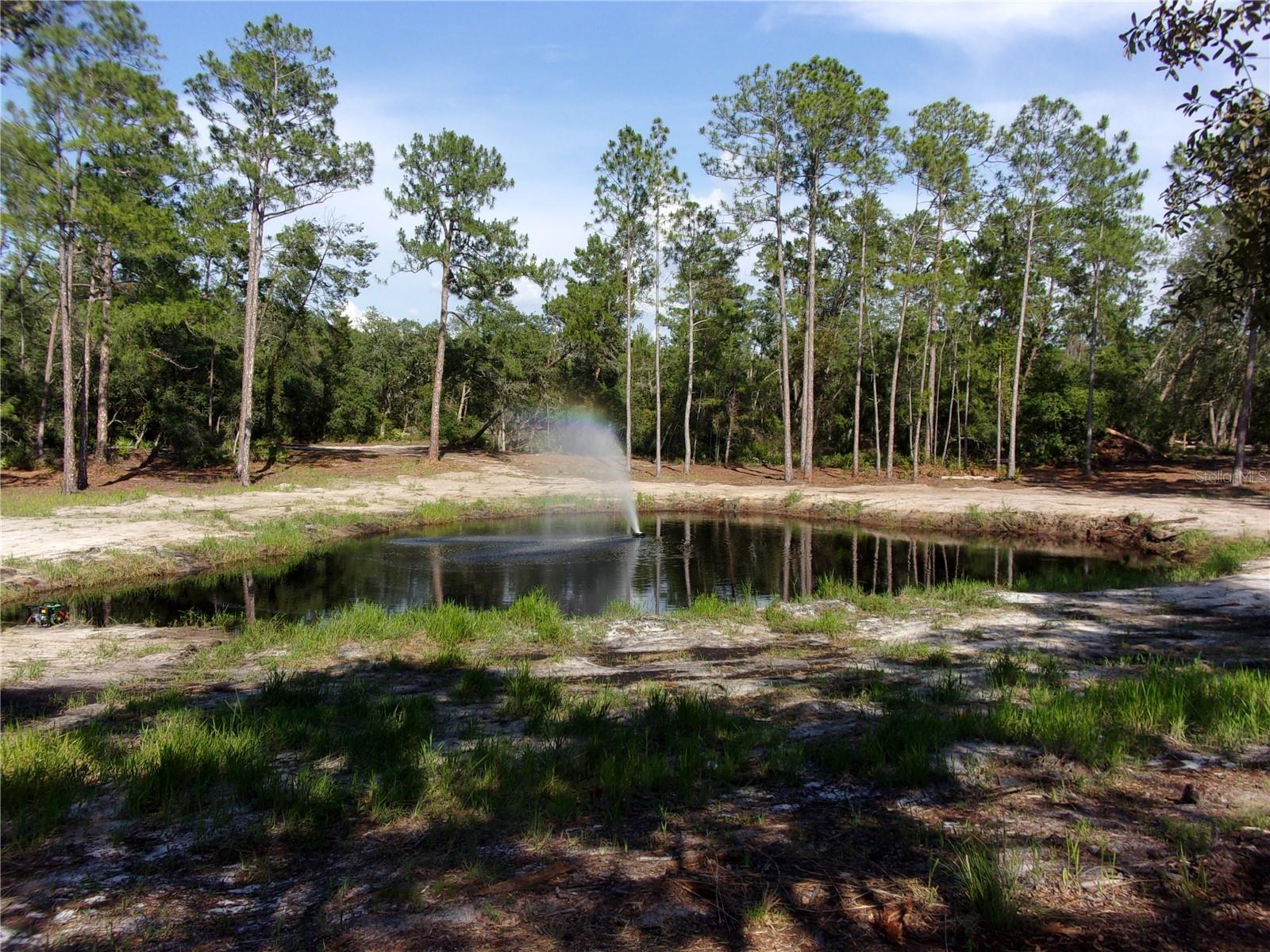 Image 24 of 60 For Deep Woods Road