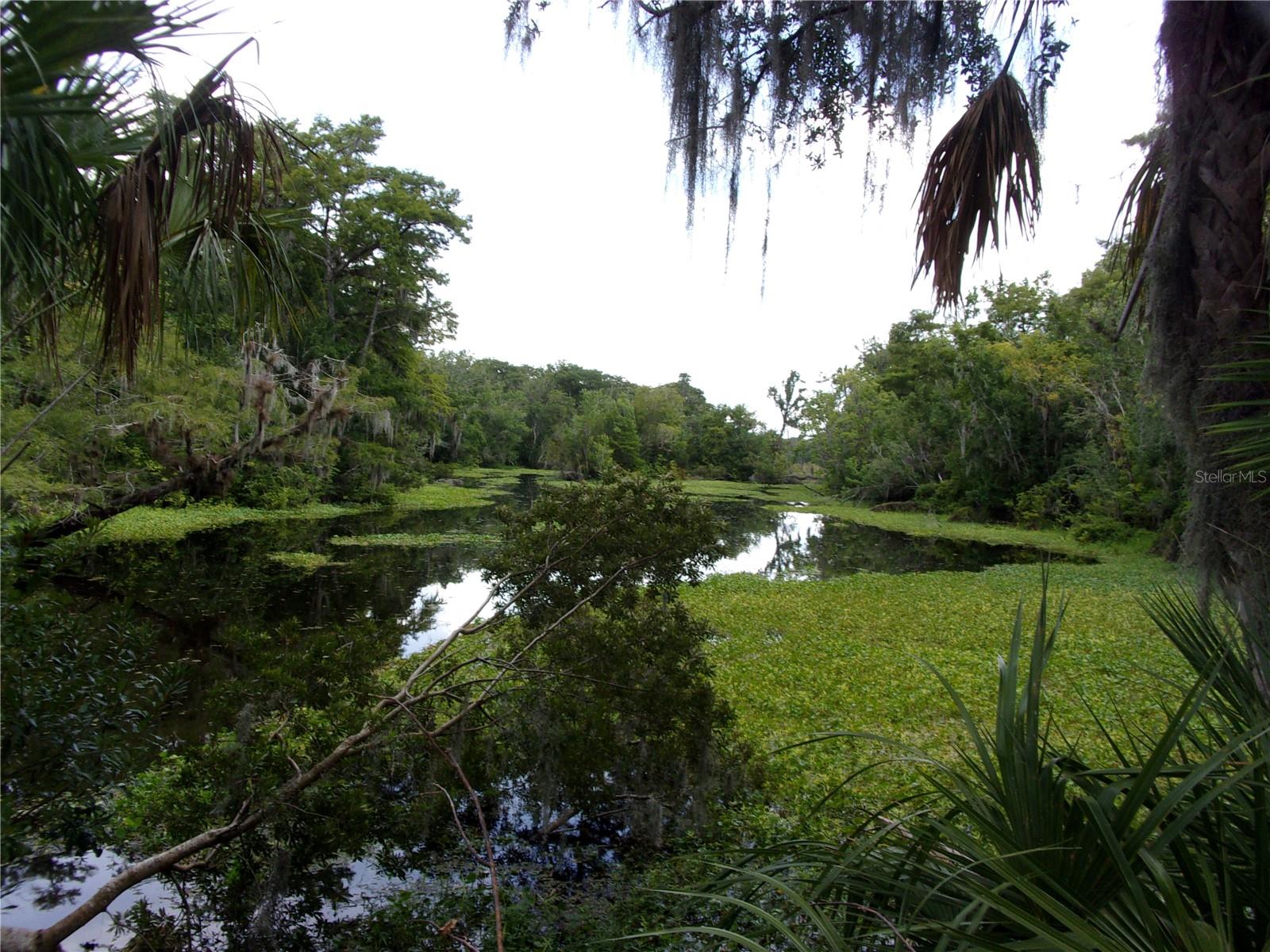 Image 31 of 60 For Deep Woods Road