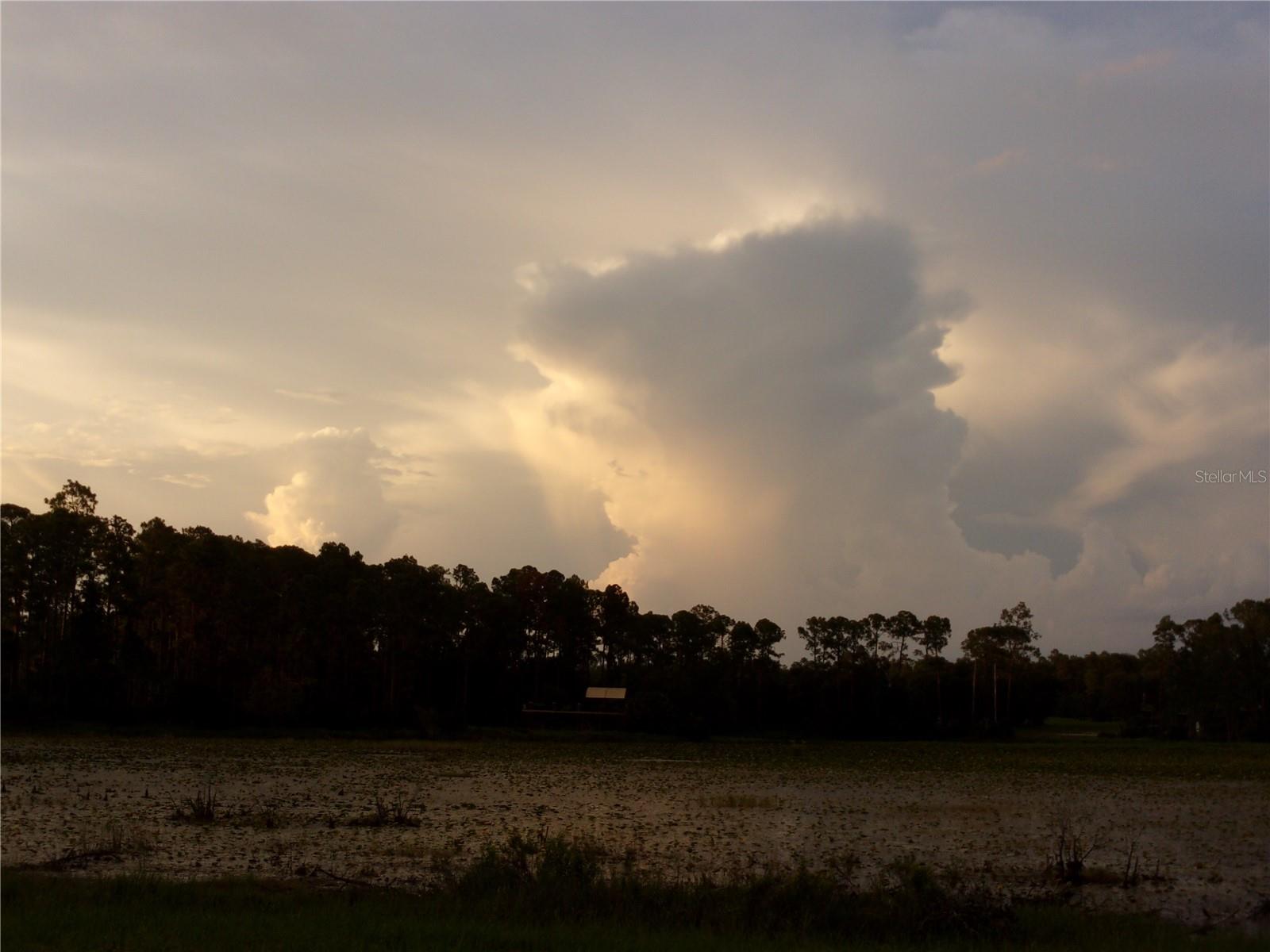 Image 34 of 60 For Deep Woods Road