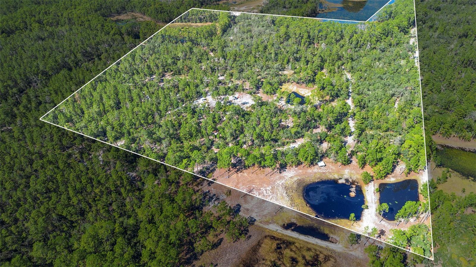 Image 62 of 63 For Deep Woods Road