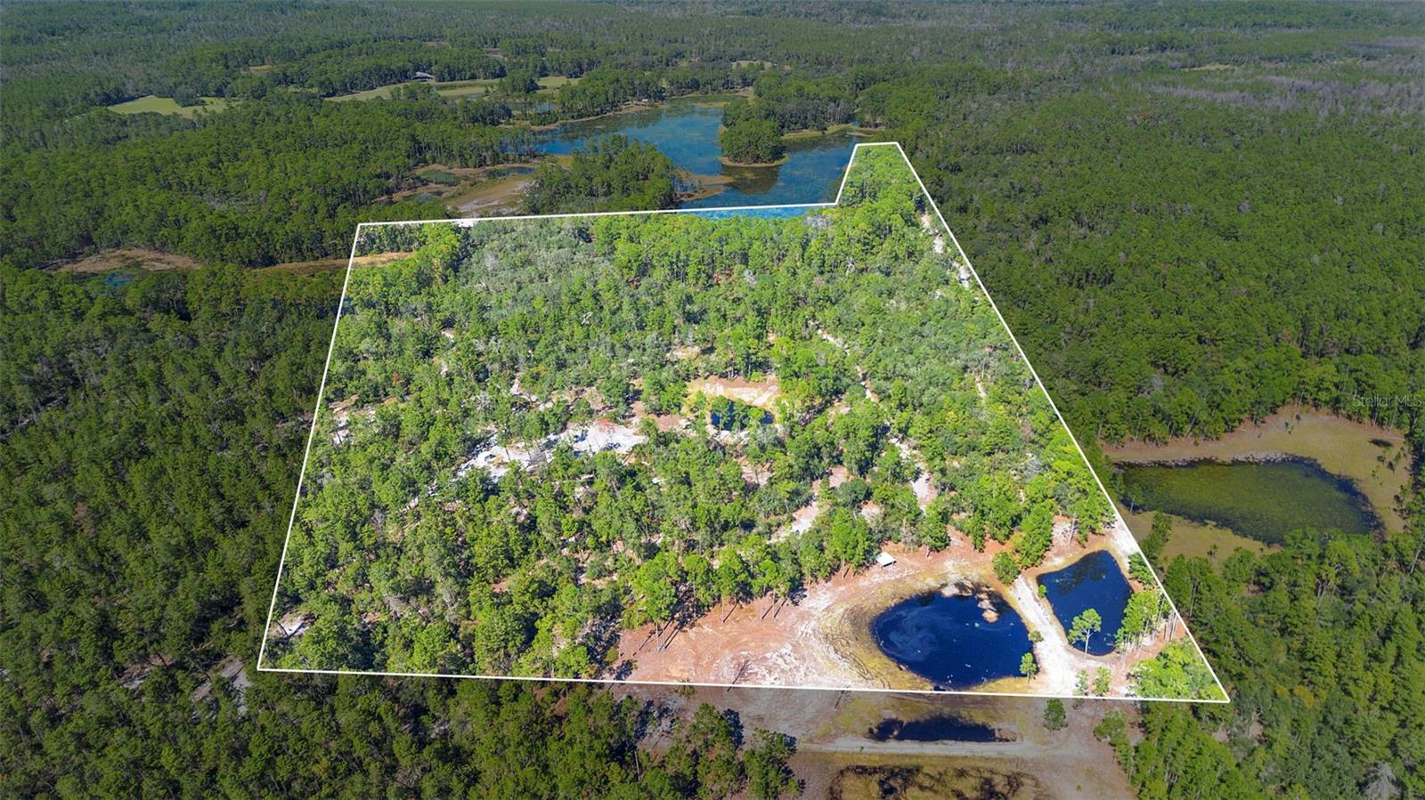 Image 63 of 63 For Deep Woods Road