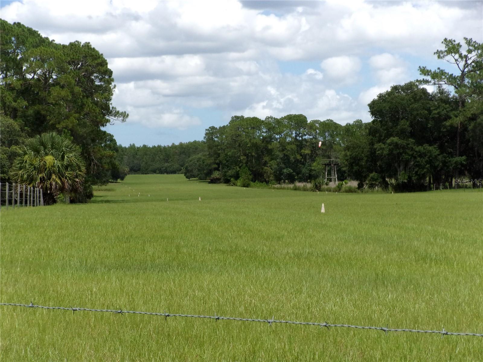 Image 9 of 60 For Deep Woods Road