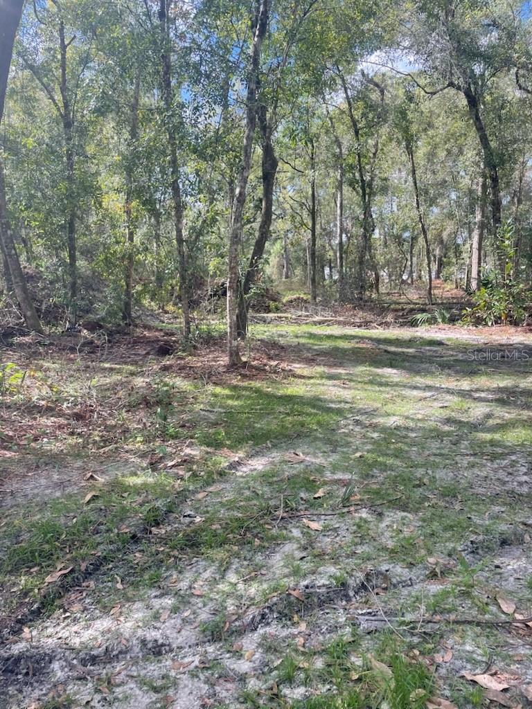 Image 2 of 3 For 2406 International Speedway Boulevard