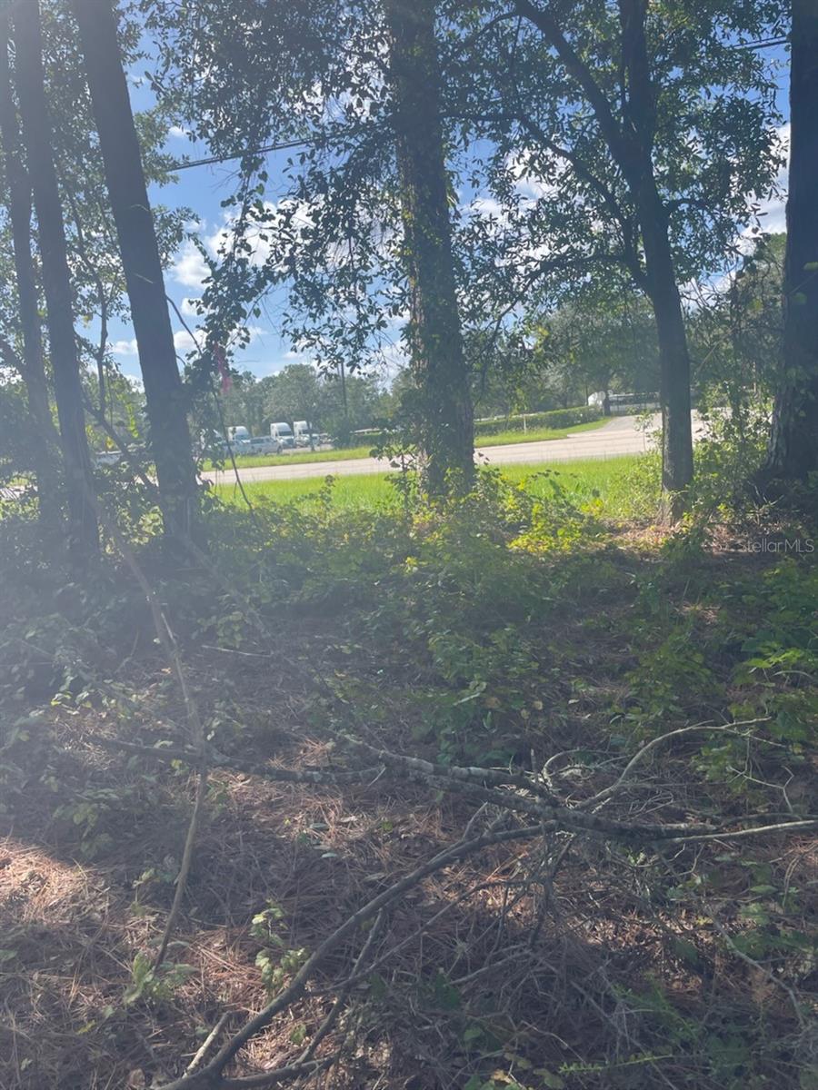 Image 3 of 3 For 2406 International Speedway Boulevard