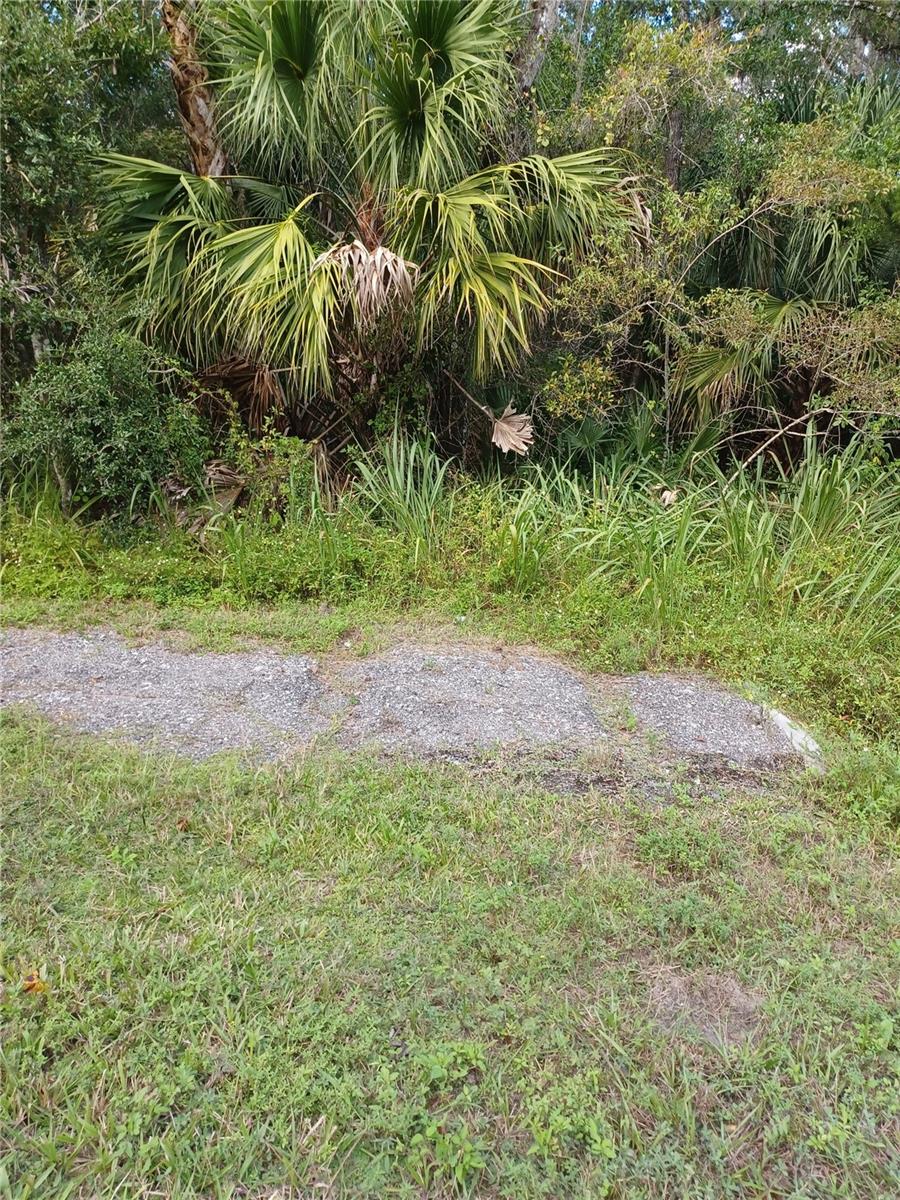 Listing Details for Lake Harney Road, GENEVA, FL 32732