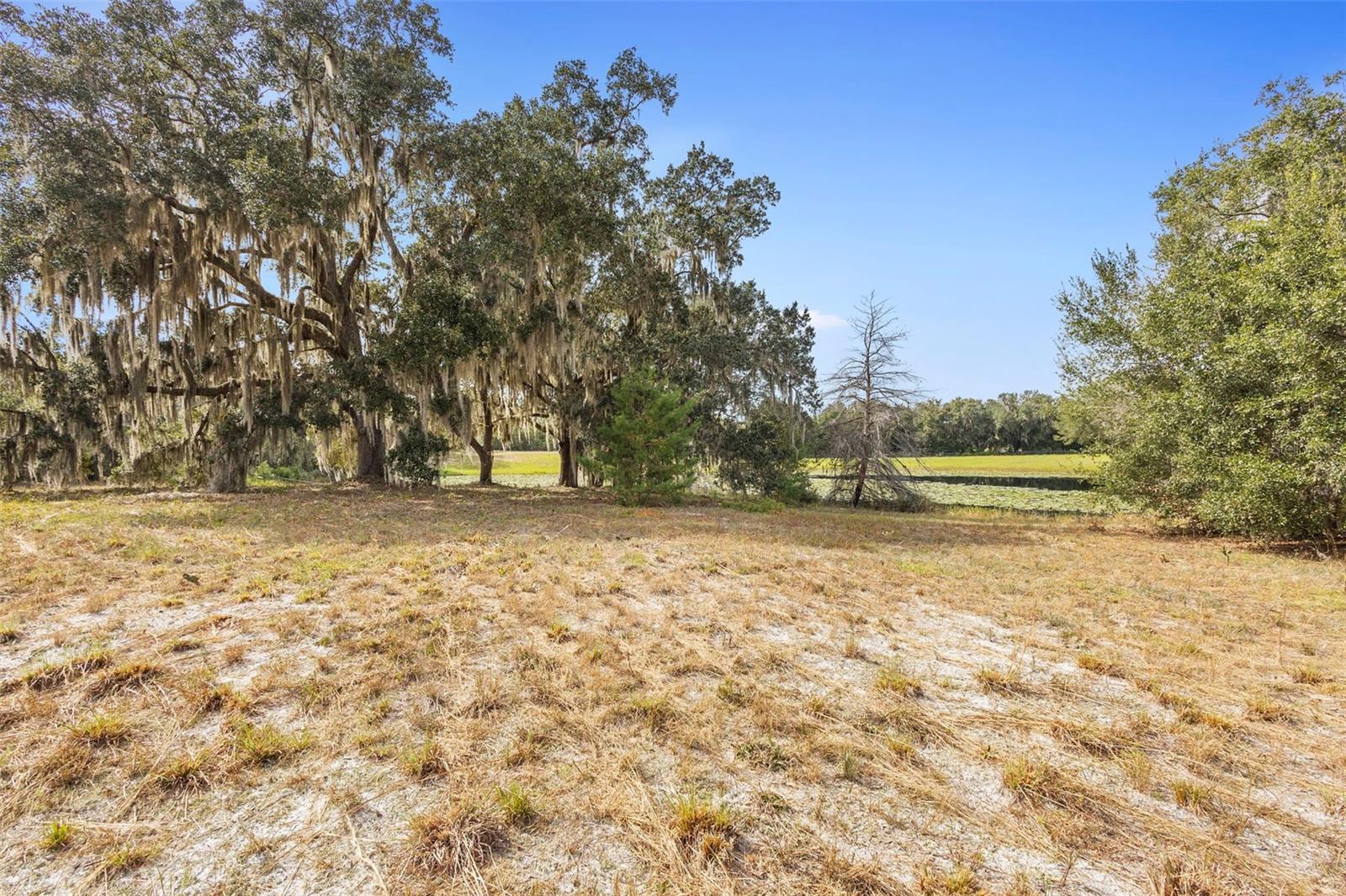 Image 14 of 25 For 1499 Shady Meadow Lane