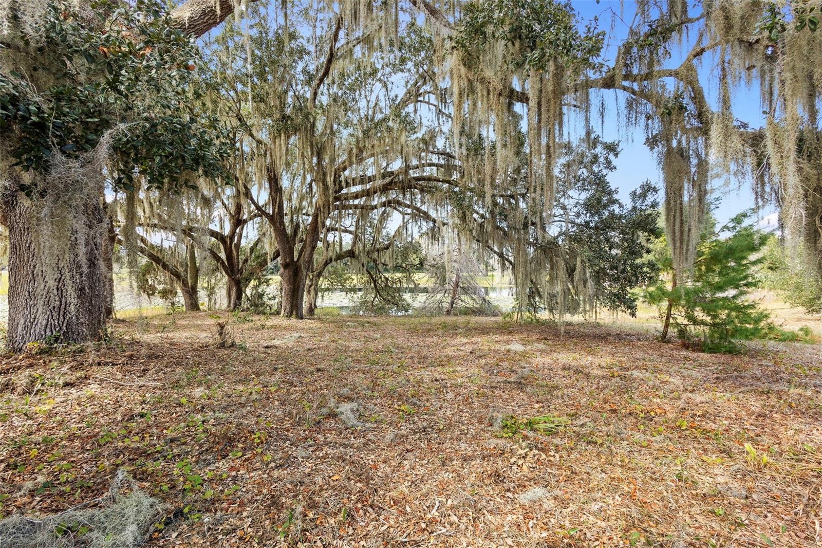 Image 8 of 25 For 1499 Shady Meadow Lane