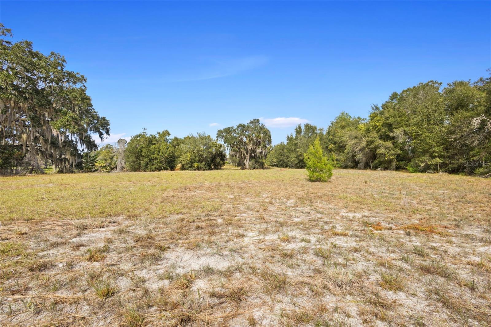 Image 9 of 25 For 1499 Shady Meadow Lane