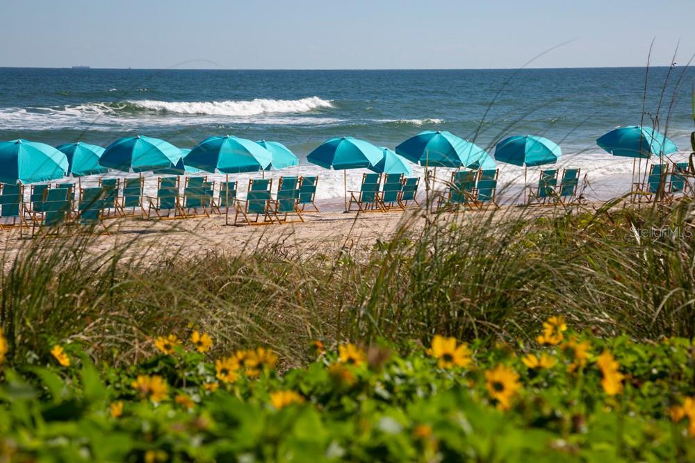 Image 63 of 63 For 244 Gypsy Palace Lane