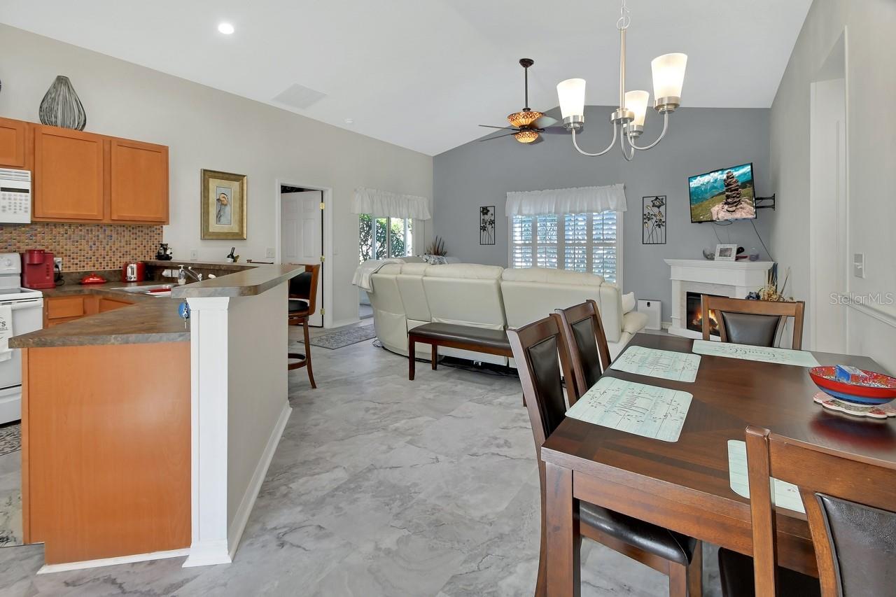 Image 2 of 24 For 209 Shady Lane Drive 63