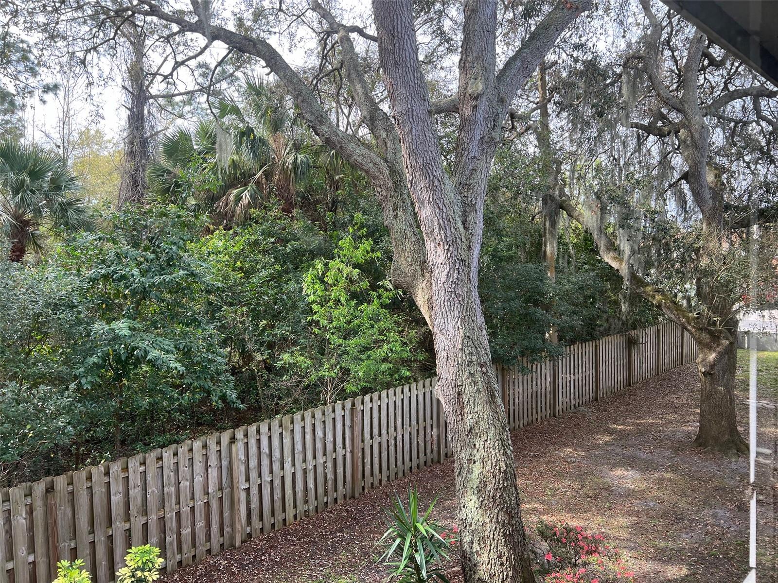 Image 22 of 27 For 1795 Harrison Street 215