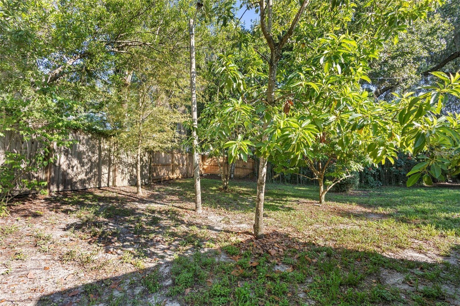 Image 33 of 38 For 611 Garfield Avenue