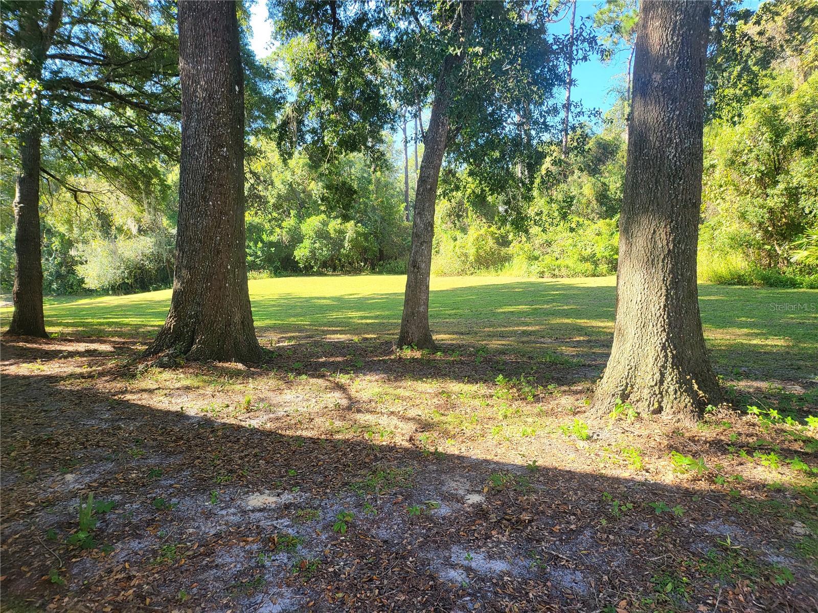 Image 2 of 19 For 908 Oakwood Cove