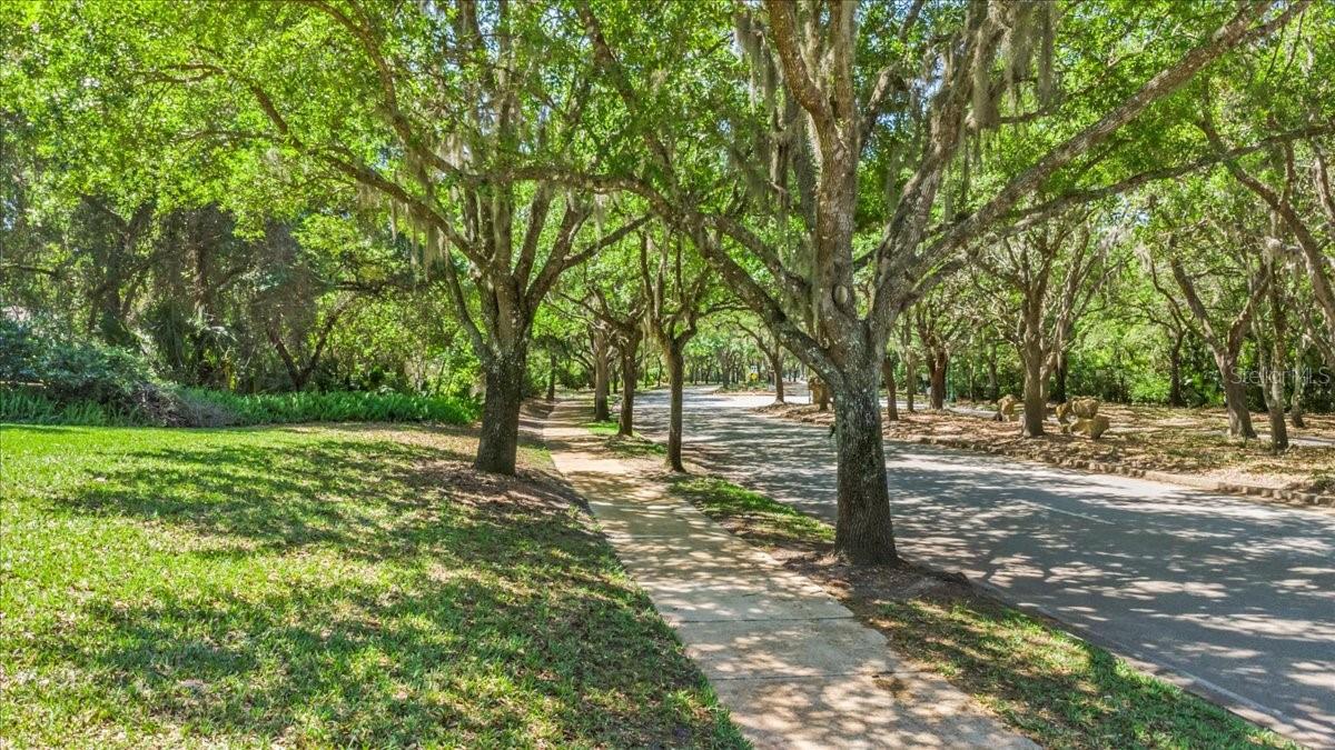 Image 68 of 100 For 2967 Arranmore Drive