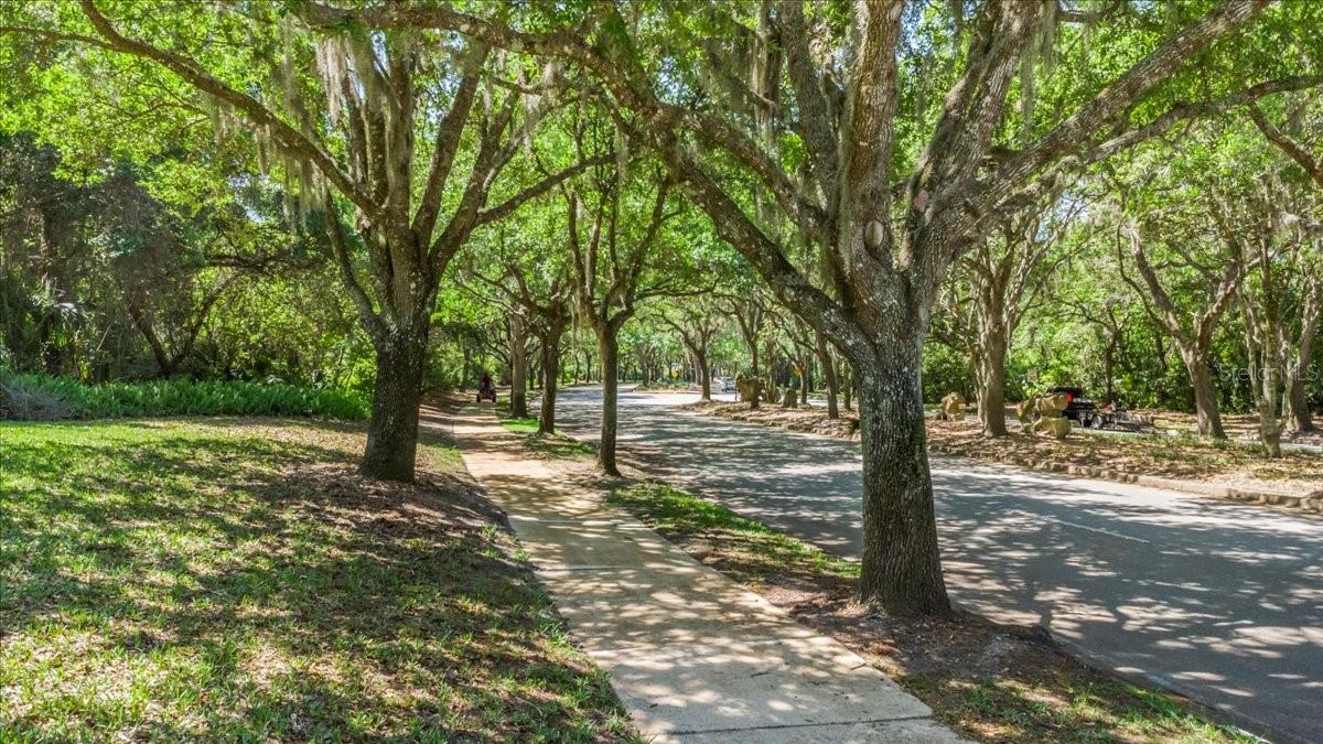 Image 69 of 100 For 2967 Arranmore Drive