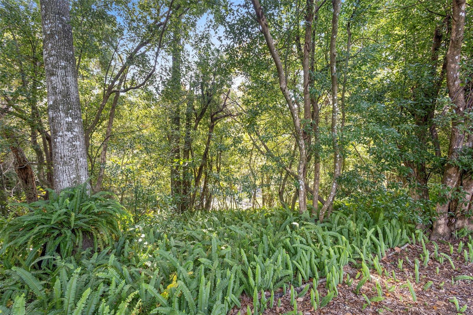 Image 2 of 52 For 706 Wisconsin Avenue