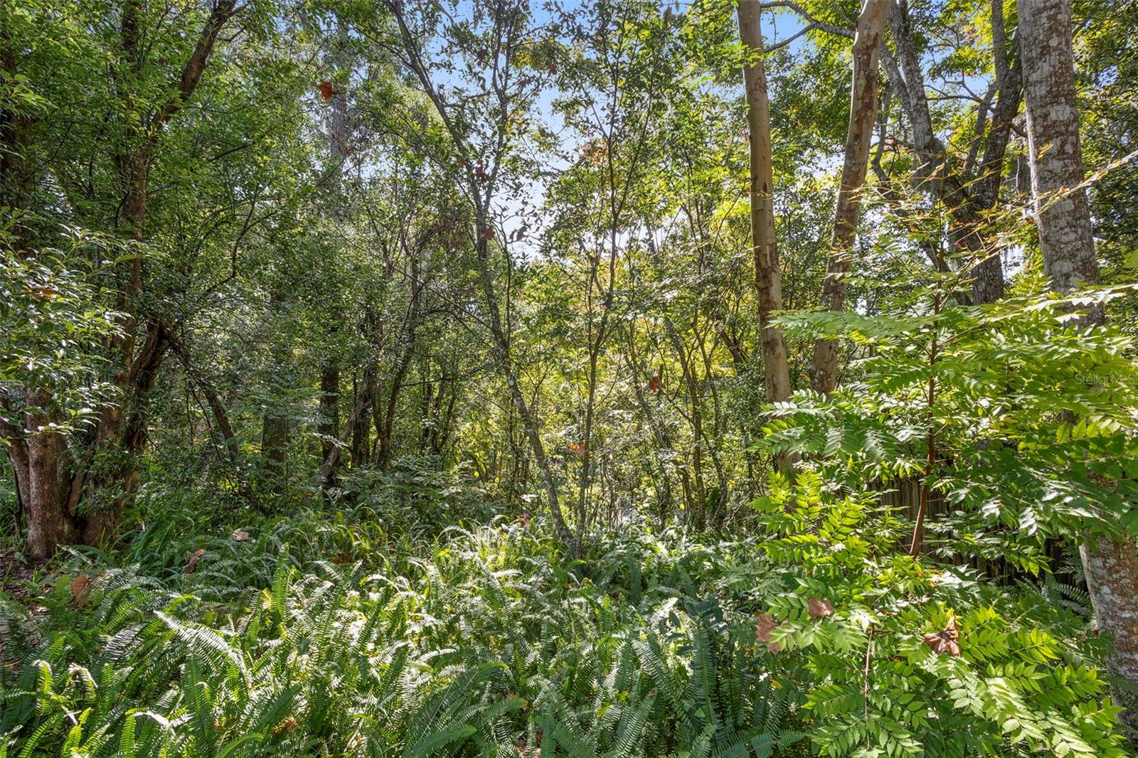 Image 6 of 52 For 706 Wisconsin Avenue