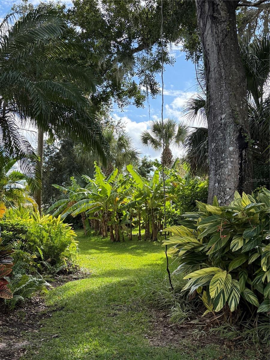 Image 3 of 44 For 304 Portside Lane