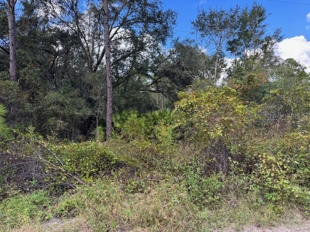 Details for  12th Avenue , DELAND, FL 32724