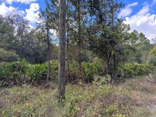 Image 2 of 2 For  12th Avenue 