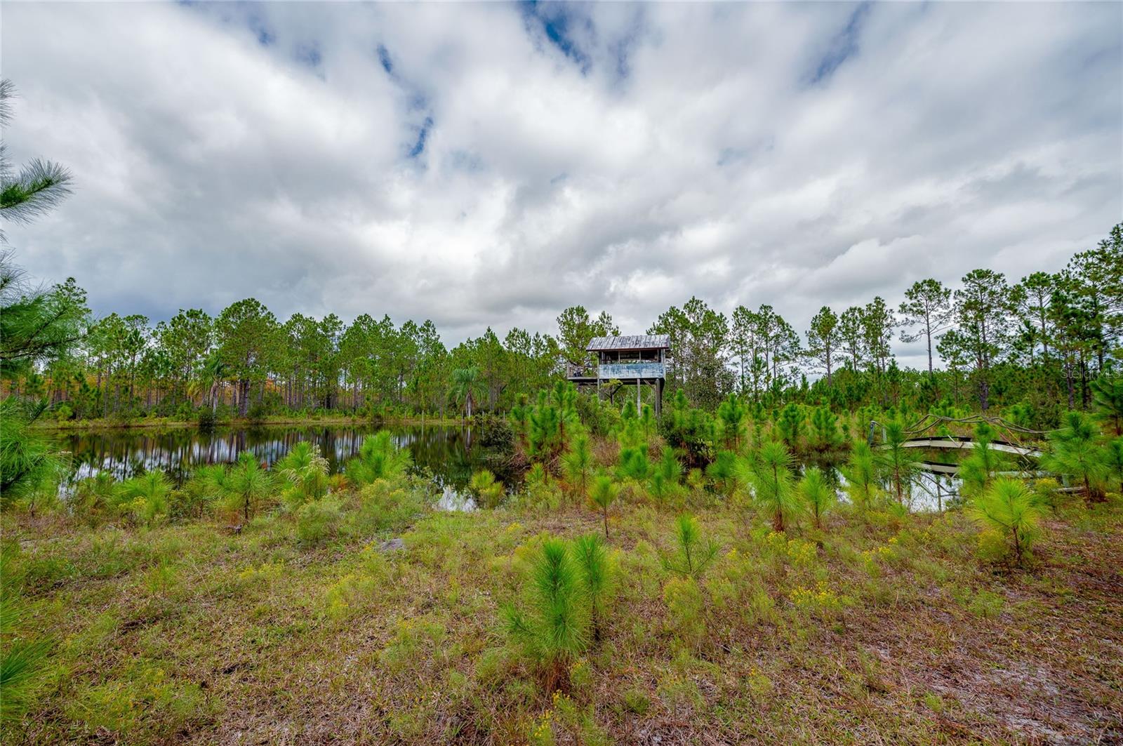 Image 24 of 28 For 245 Carter Trail