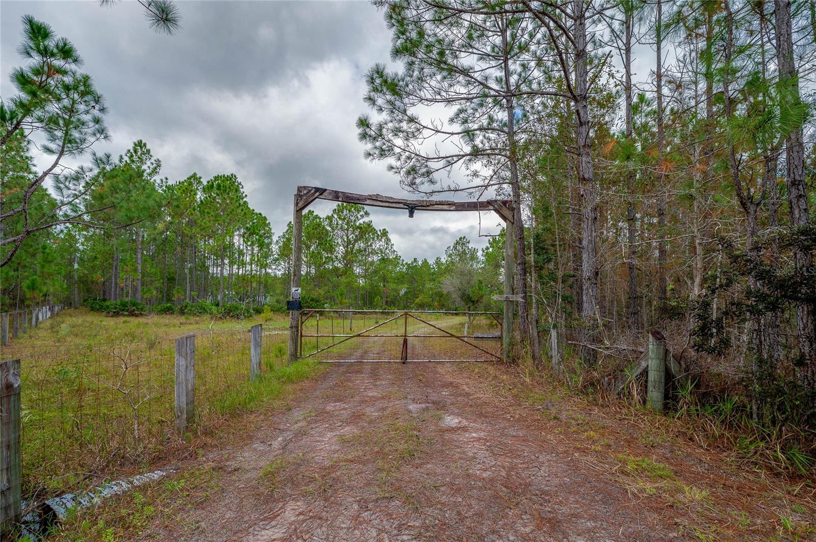 Image 4 of 28 For 245 Carter Trail